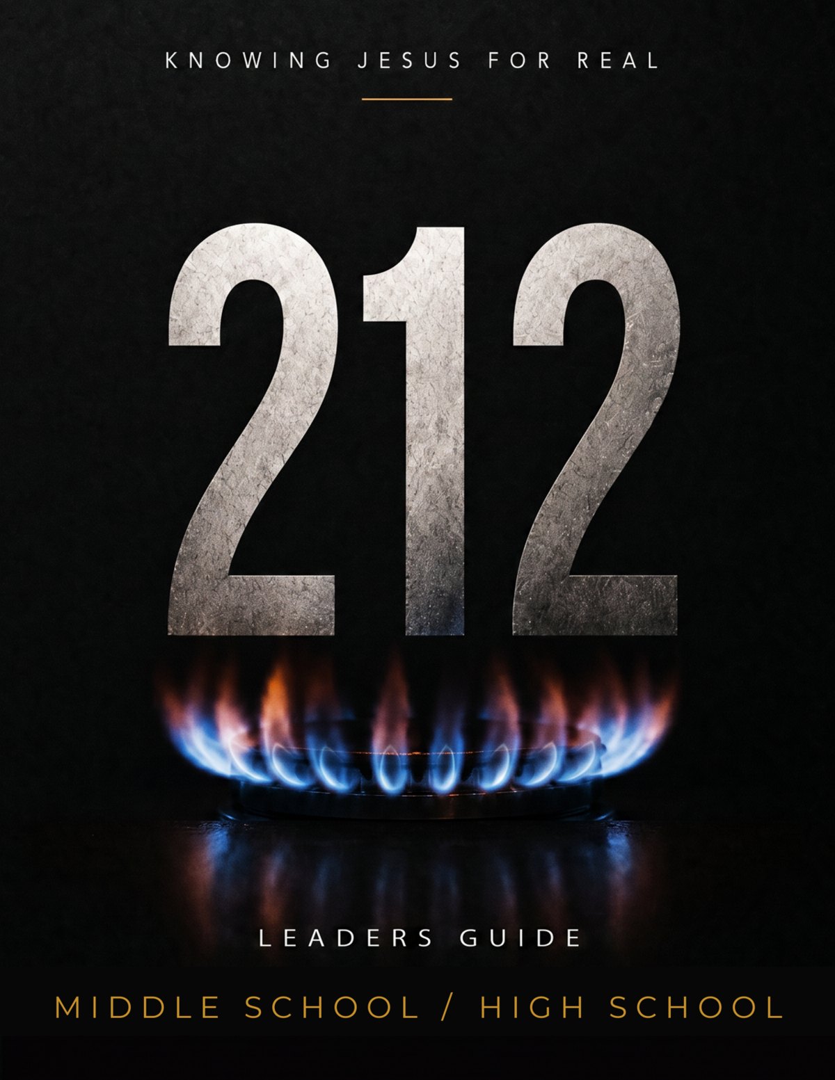 Combined MS/HS Leader's Guide cover