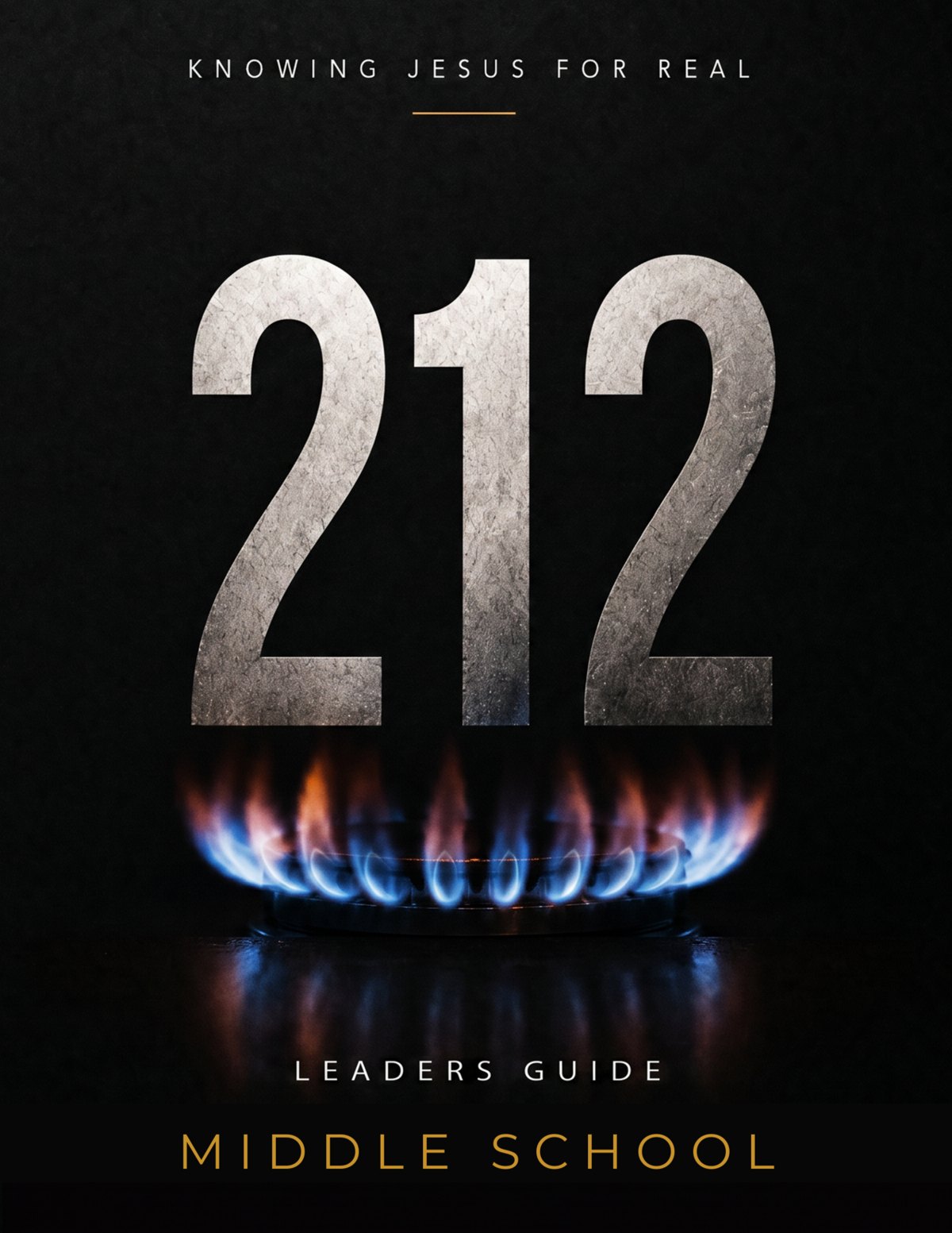 MS Leader's Guide cover
